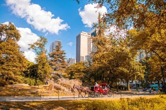 guia de central park