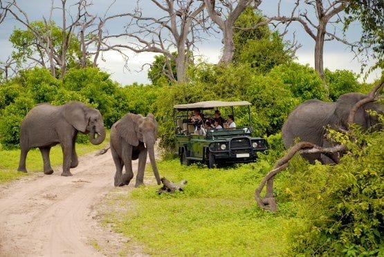 parque kruger sudafrica