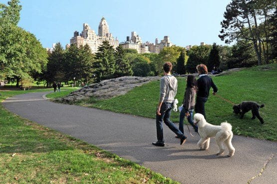 pasear en central park