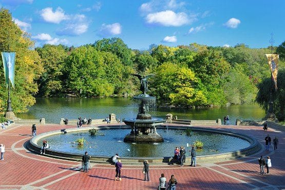 pasear por central park