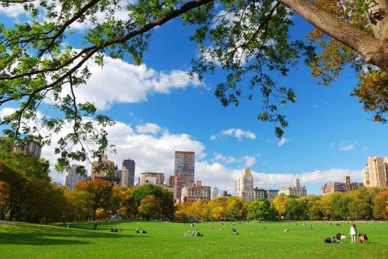 que ver en central park