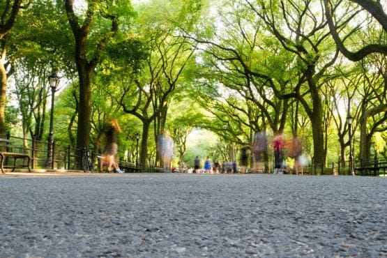 recorrido por central park
