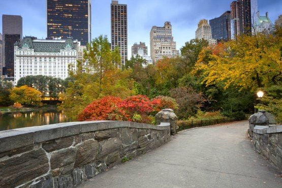 ruta a pie por central park