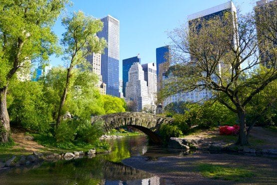 viaje a Nueva York