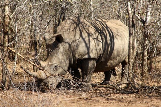 viaje sudafrica