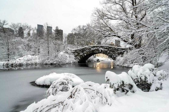 visita a central park