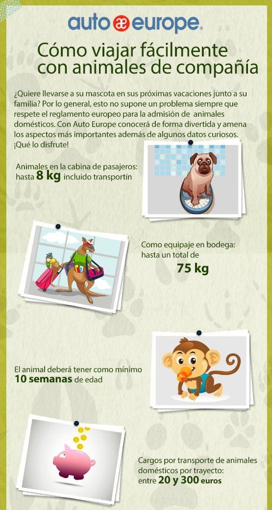 Consejos para Viajar con perro