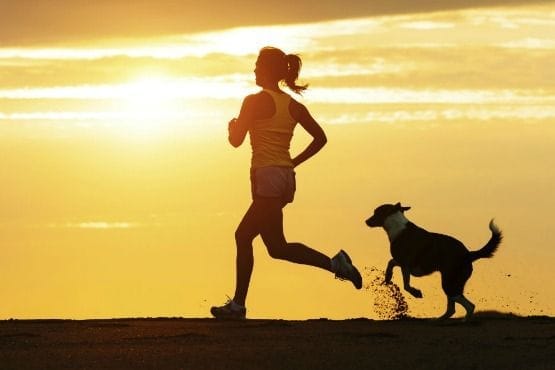 mejores lugares para ir con tu perro