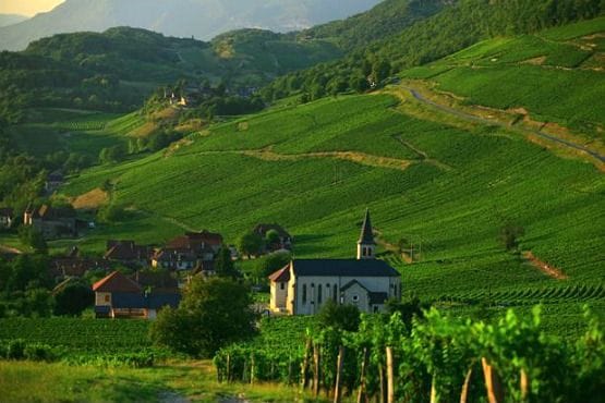 viñedos Alpes Franceses