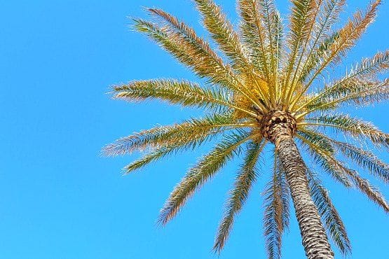 playas valencia