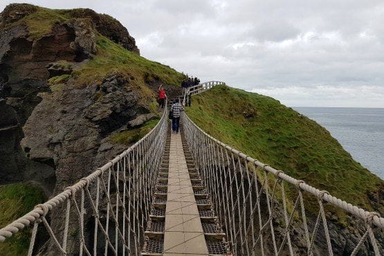 Precio Carrick a Rede