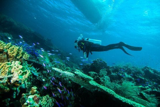 bali things to do
