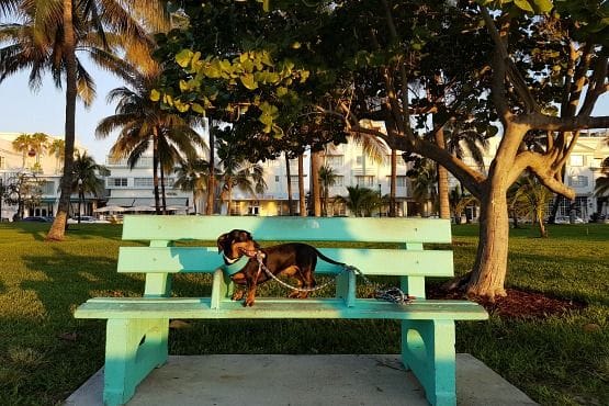 parques en Miami