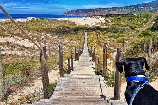 que ver en lisboa y alrededores
