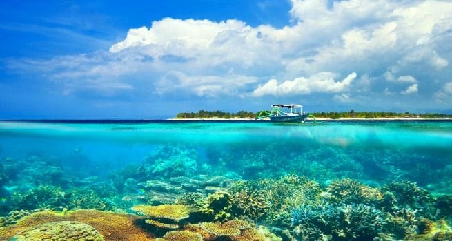 Activities in Bali