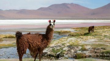 Lugares para visitar en Bolivia