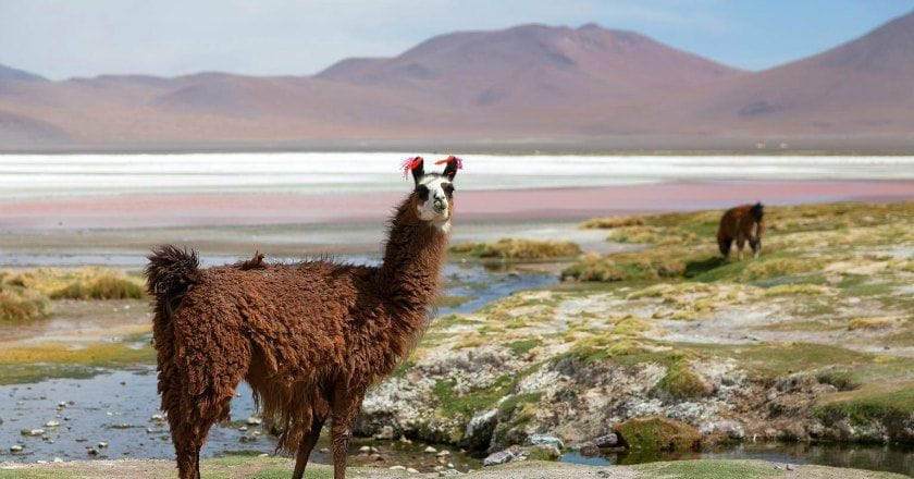 Lugares para visitar en Bolivia
