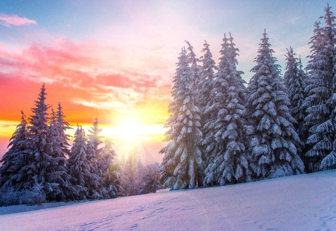 vacaciones de invierno
