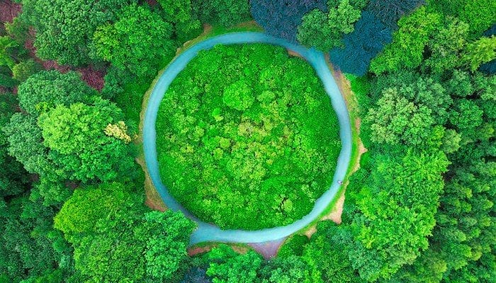 como cuidar el medio ambiente