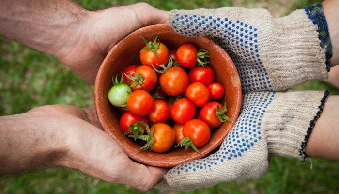 what is sustainable travel