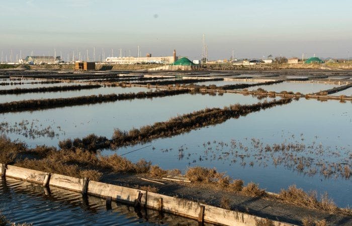 salinas de Aveiro