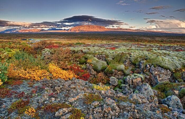 que hacer en Islandia
