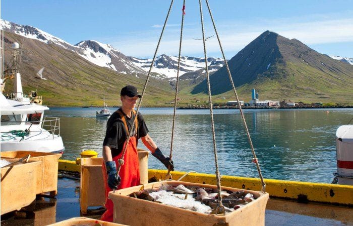 viajar a islandia en agosto