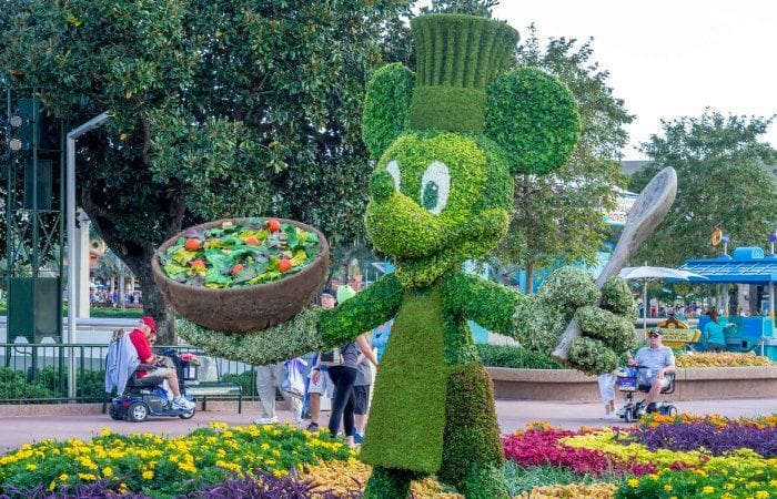 excursiones a disney desde miami