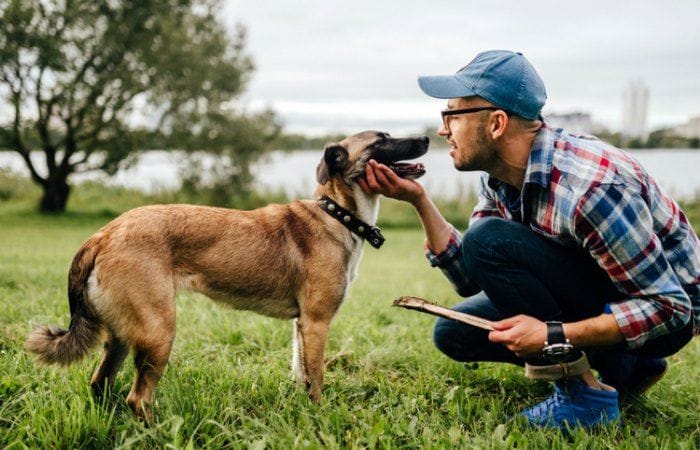 puedo viajar con mi perro a Londres