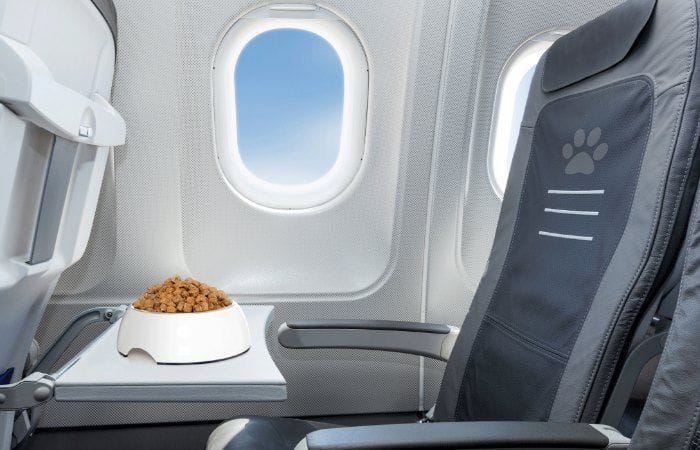 viajar a Londres con perro en avion