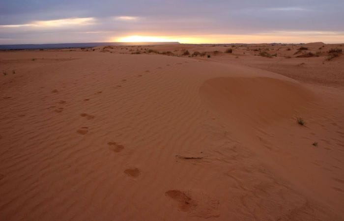 amanecer en el desierto