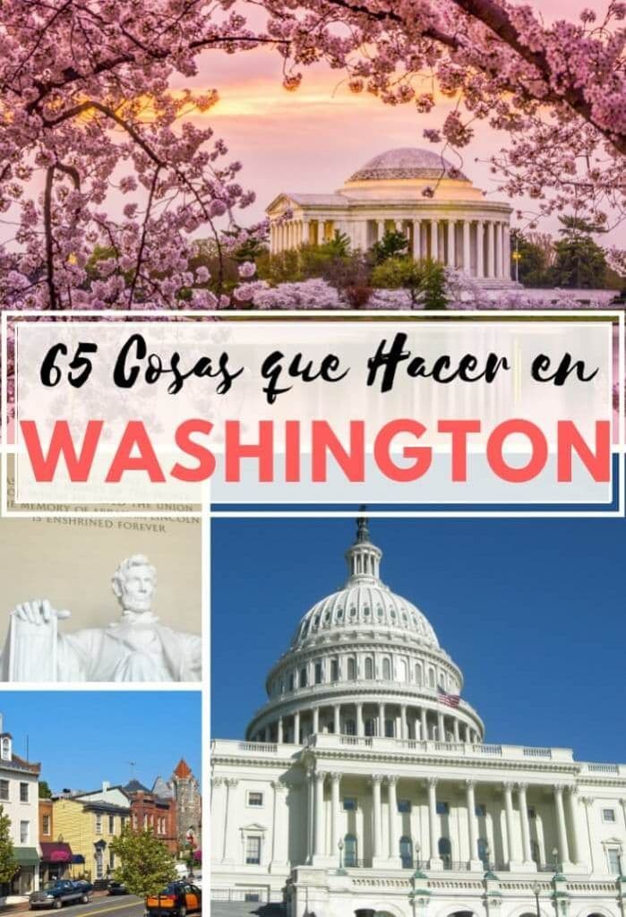 cosas que ver y hacer Washington DC 699x1024
