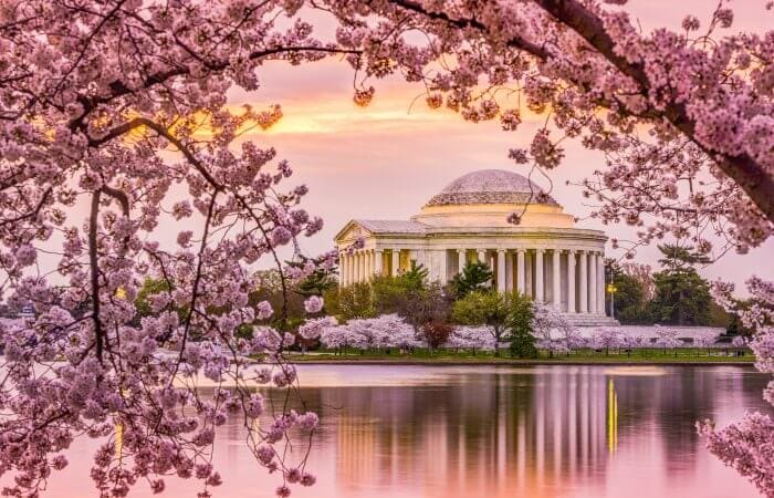 que ver en Washington