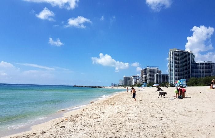 playas petfriendly miami