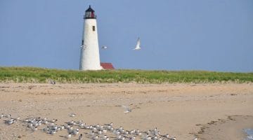 Day Trips from Boston