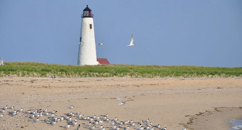 Day Trips from Boston
