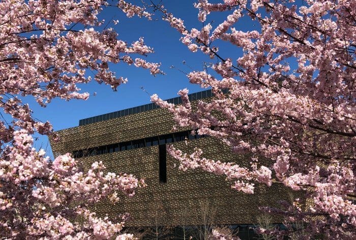 Best places to go in the US