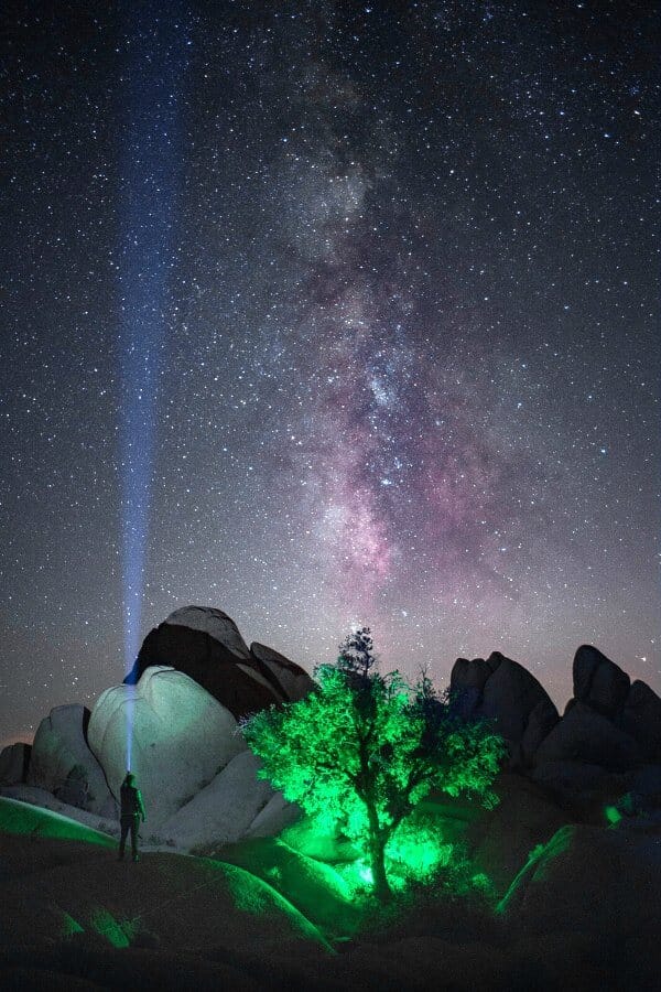 Joshua Tree camping guide