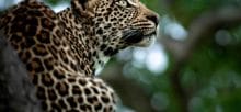 best Wildlife encounters