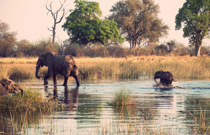 october wildlife holidays