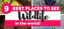 places to see Wildlife