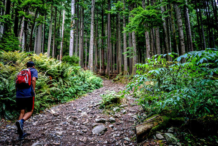 Grouse Mountain