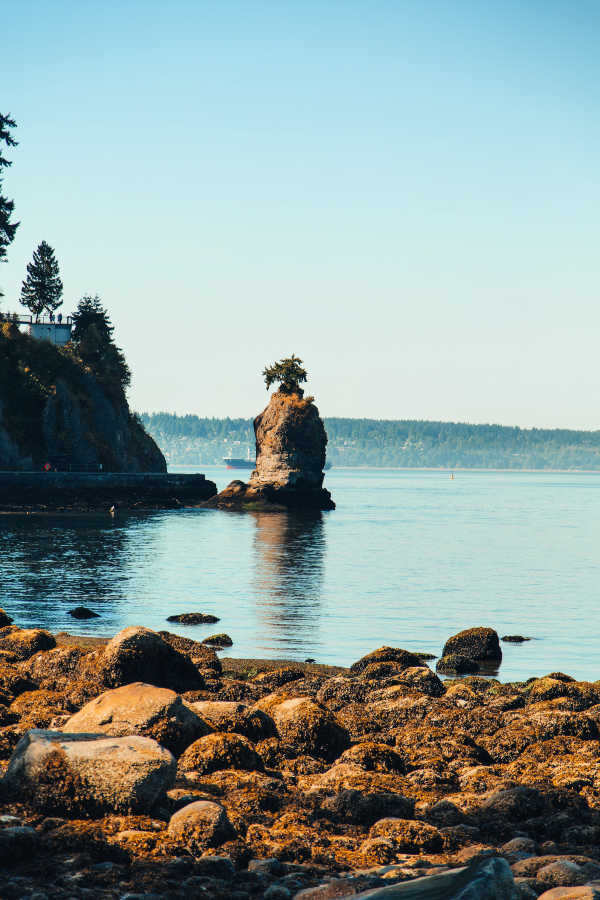 Views from the Stanley Park in Vancouver