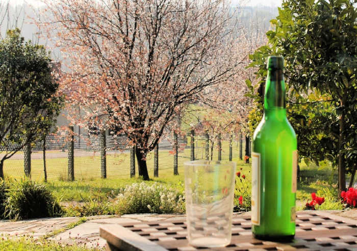 sidra asturiana