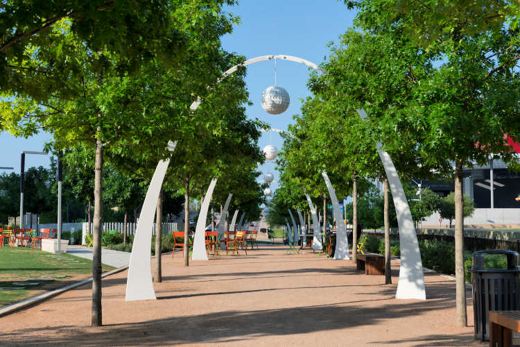 Fun activities in Dallas