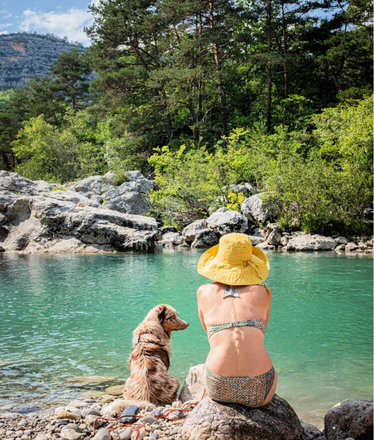 excursión con perro en la naturaleza