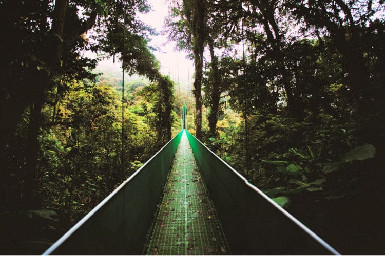 Costa Rica in Spring with kids