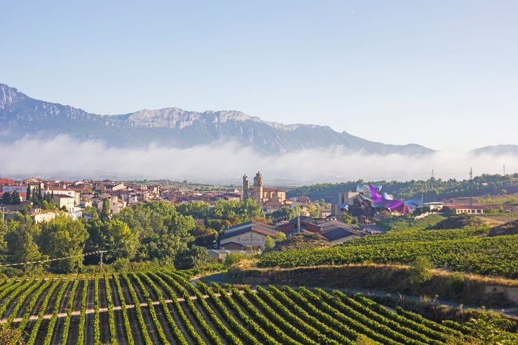 La Rioja Enoturismo en otoño
