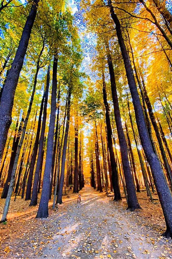 Saratoga Spa State Park in the fall