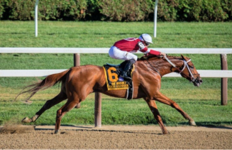 Saratoga Springs race track